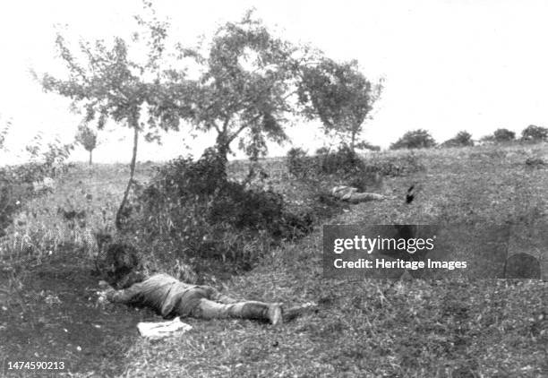 Immense champ de Bataille; Entre Meaux et Vareddes, des soldats allemands sont tombes derriere la haie qui leur servait d'abri', 1914. From "L'Album...
