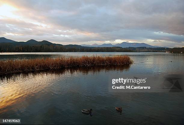 l'estany de banyoles - banyoles stock-fotos und bilder