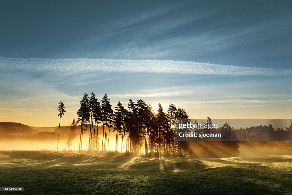 Magic Light on Golf Course