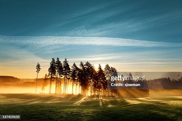 magic light on golf course - fog stock pictures, royalty-free photos & images