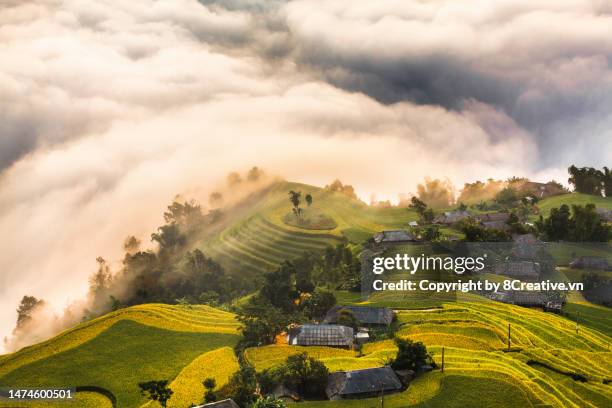 beautiful scenery in the north of vietnam - grand 8 stock pictures, royalty-free photos & images