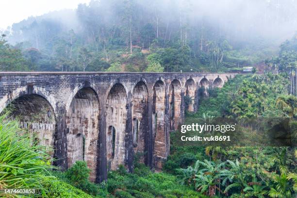 nine arches bridge - sri lanka train stock pictures, royalty-free photos & images