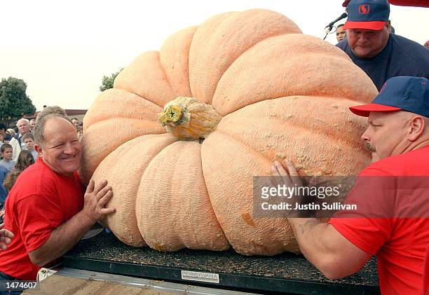 Volunteers push Kirk Mombert's 1,173 pound pumpkin onto a forklift after it was weighed at the 29th annual Great Pumpkin Weigh-off October 14, 2002...