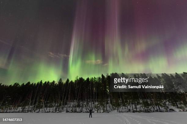 northern lights (aurora borealis) an rare atmospheric phenomenon in eastern finland - nordhalbkugel stock-fotos und bilder