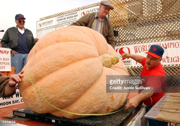 Contest officials measure Kirk Mombert's 1,173 pound pumpkin as it sits on a scale at the 29th annual Great Pumpkin Weigh-off October 14, 2002 in...