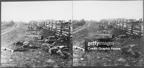 Stereoscopic image showing the field at Antietam with the Confederate dead lying beside a fence in a view looking north at the Hagerstown Turnpike,...