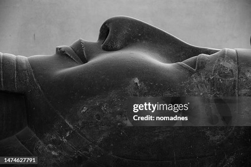 Close-up of The Colossus of Rameses II in the open-air museum of Memphis. Travel in Egypt. Hieroglyphics name of Pharaoh Ramses II.