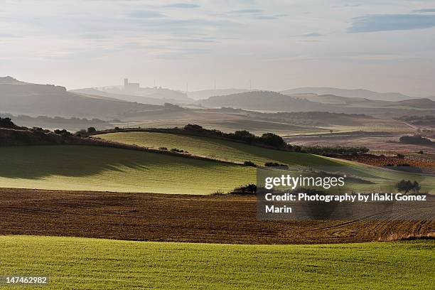 green fields. - navarra stock pictures, royalty-free photos & images