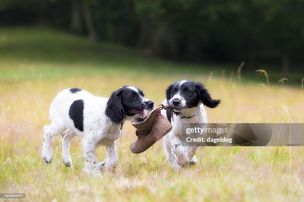 Friendship and fun