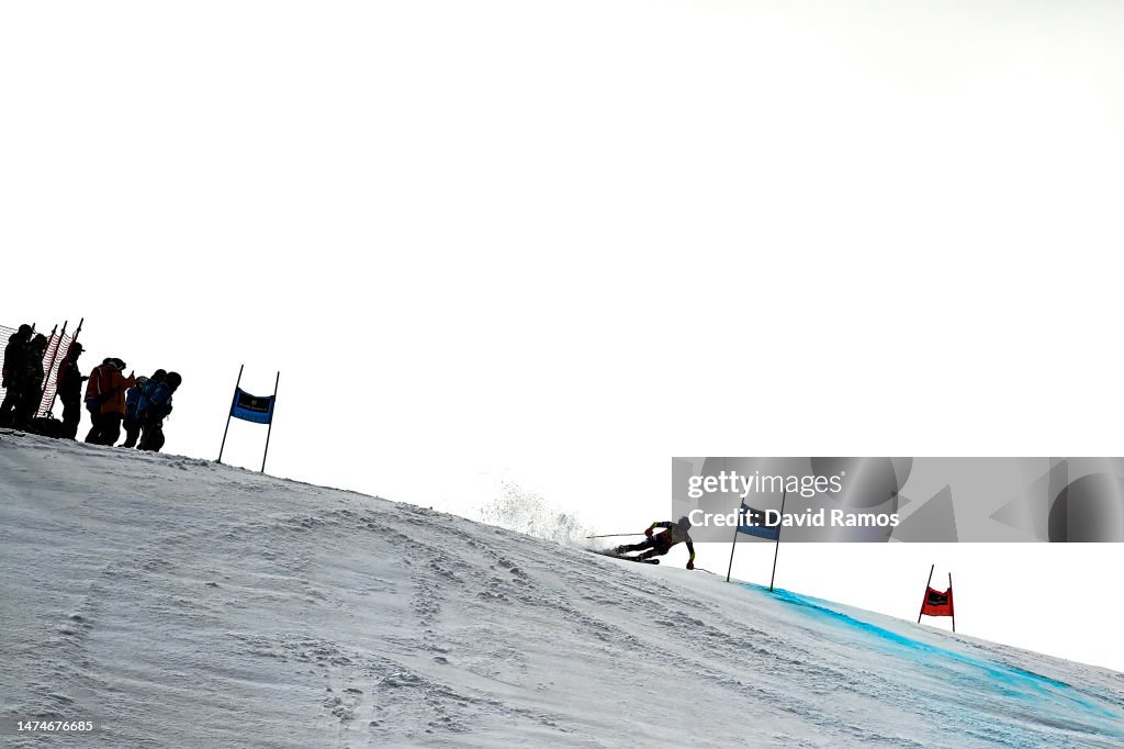 Audi FIS Alpine Ski World Cup Finals - Women's Giant Slalom