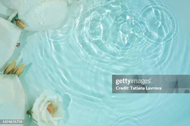 flowers on blue rippled water with copy space. abstract floral background, symbolizing purity, clearance, relaxation and spa - maart stockfoto's en -beelden