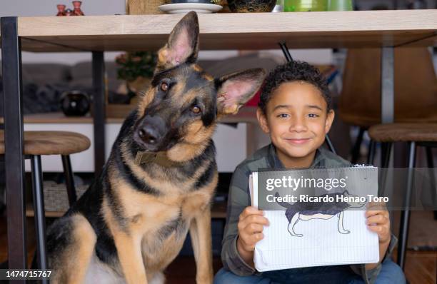 portrait of an african american boy holding the drawing of his dog. his german shepherd dog is next to him. they are at home under the dining room - 9 hand drawn patterns stock pictures, royalty-free photos & images