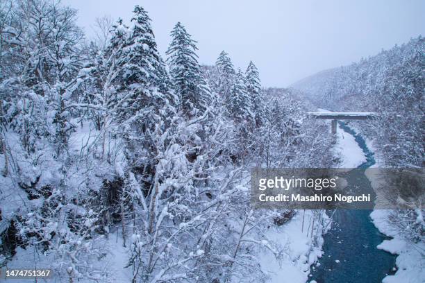 biei river, biei, hokkaido, japan, in winter - kamikawa hokkaido stock-fotos und bilder
