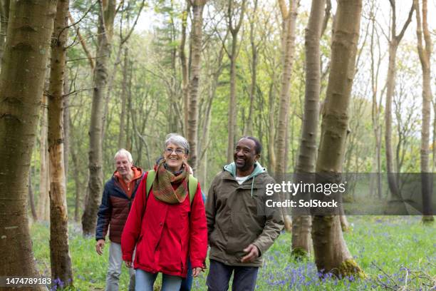 friends walking in the woods - hiking stock pictures, royalty-free photos & images