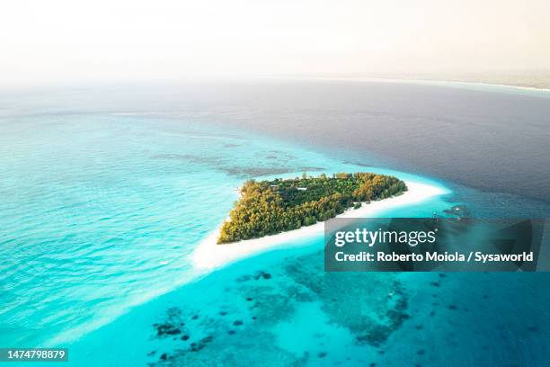 aerial view of idyllic tropical island and coral reef - atoll stock-fotos und bilder