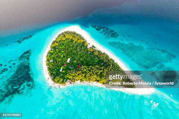 palm fringed beach in the exotic lagoon, overhead view - zanzibar foto e immagini stock