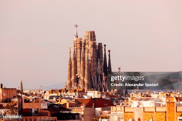 close-up of sagrada familia church on a sunny day, barcelona, spain - sagrada familia foto e immagini stock