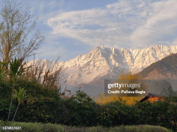 Views of the Himalayas, the Dhauladhar Range on March 5 Dharamshala, India.