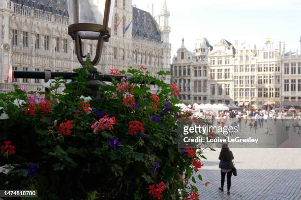 view of the “grande place” in brussels, belgium of geraniums in the foreground - grand place brussels stock pictures, royalty-free photos & images