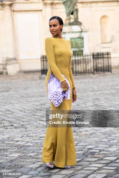 Sabrina Dhowre Elba wears a Victoria Beckham dress, bag and shoes outside the Victoria Beckham show on March 03, 2023 in Paris, France.