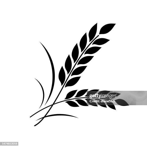simple black wheat icon on a transparent background - wheat stock illustrations