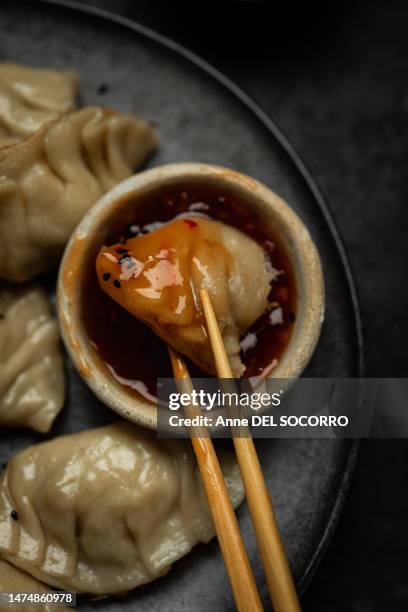 homemade vegetables and tofu gyoza - raviolis chinos fotografías e imágenes de stock