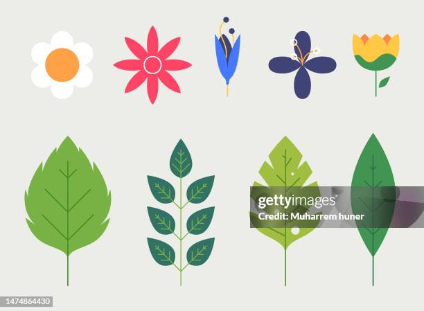 vector modern graphic illustration of colorful flowers and leaves. - flower shop stock illustrations