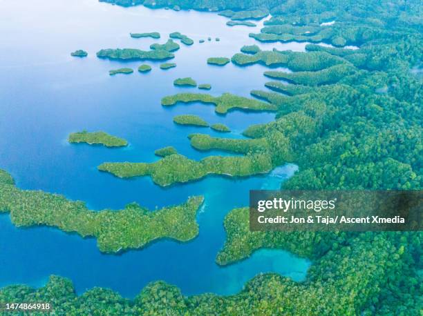 aerial view of tropical lagoon and islands - raja ampat islands bildbanksfoton och bilder