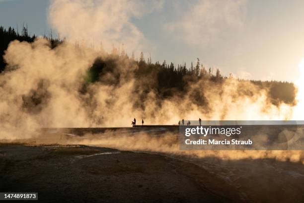 backlit steam in the 	midway geyser basin,  of yellowstone national park - midway geyser basin stock pictures, royalty-free photos & images