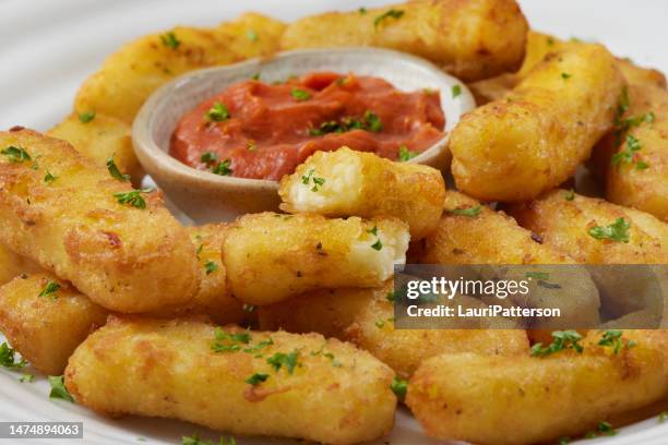 palitos de queso halloumi crujientes - barrita de queso fotografías e imágenes de stock