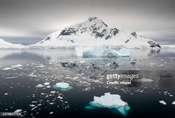 wonderful and atmospheric landscape at paradise bay with icebergs floating in antarctica - antarctic ocean stock pictures, royalty-free photos & images