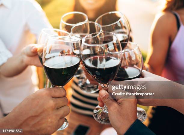 bonheur amis trinquant en automne - festival traditionnel photos et images de collection