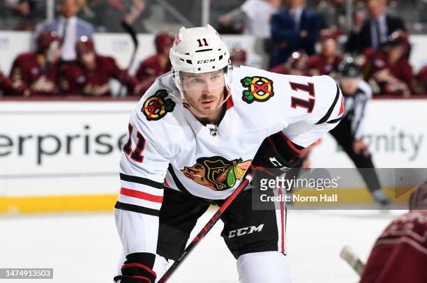 Taylor Raddysh of the Chicago Blackhawks gets ready during a face off against the Arizona Coyotes at Mullett Arena on March 18, 2023 in Tempe,...