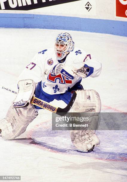 Goalie Ron Hextall of the Quebec Nordiques defends the net during an NHL game circa 1993 at the Quebec Coliseum in Quebec City, Quebec, Canada.