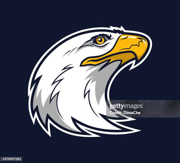 eagle character mascot - usa logo stock illustrations