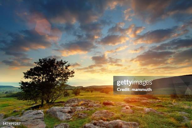 majestic sunrise - hungary landscape stock pictures, royalty-free photos & images