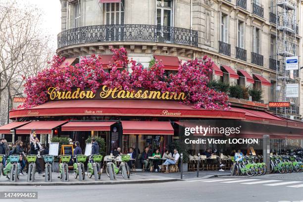 Café fleuri "Triadou Haussmann" le 21 février 2023 à Paris.