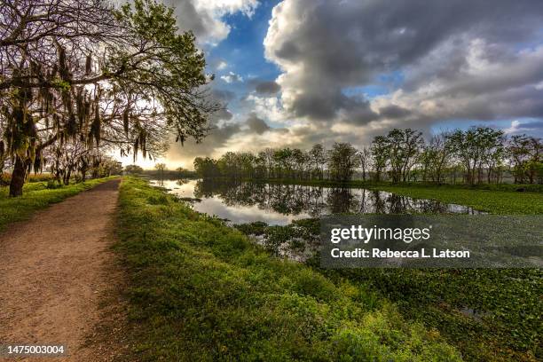 morning at 40-acre lake - state park stock pictures, royalty-free photos & images