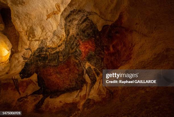 Grand taureau recouvre d'autres figures sur une paroi le 5 mai 2022 de la grotte de Lascaux à Montignac-Lascaux.