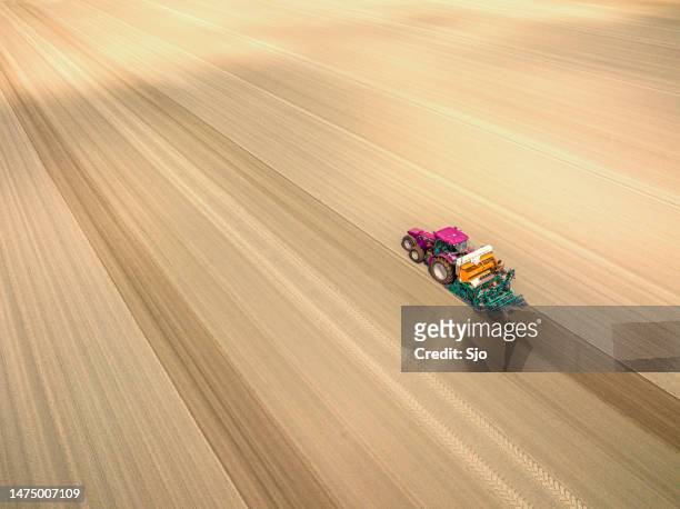 tractor planting potato seeldings in  the soil during springtime - ploeg stockfoto's en -beelden