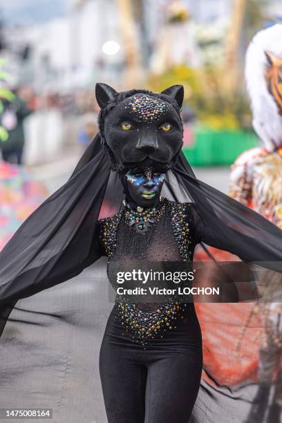 Jeune femme avec un déguisement de panthère lors du défilé des 150 ans du carnaval de Nice le 18 février 2023.