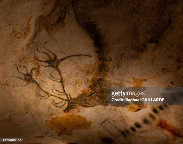 Tête et ensellure d'un cerf sur une paroi le 5 mai 2022 de la grotte de Lascaux à Montignac-Lascaux.