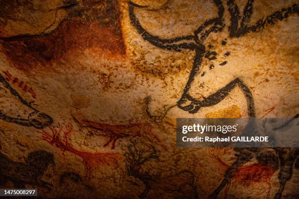 Tête de taureau dans la grande salle le 5 mai 2022 de la grotte de Lascaux à Montignac-Lascaux.
