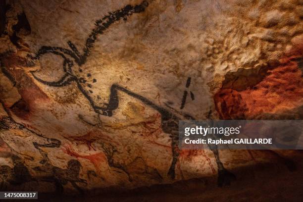 Deuxième taureau et bovidé rouge s'agenouillant sur une paroi de la grande salle le 5 mai 2022 de la grotte de Lascaux à Montignac-Lascaux.