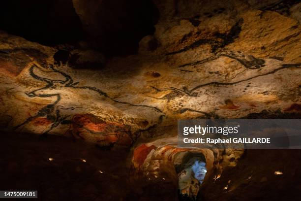 Cheval rouge et taureau dans la grande salle le 5 mai 2022 de la grotte de Lascaux à Montignac-Lascaux.