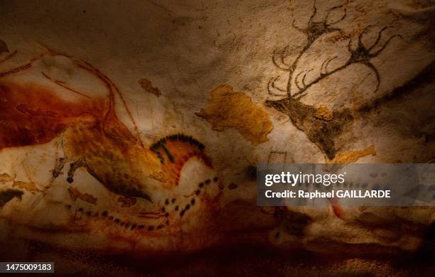 Tête et ensellure d'un cerf et cheval sur une paroi le 5 mai 2022 de la grotte de Lascaux à Montignac-Lascaux.