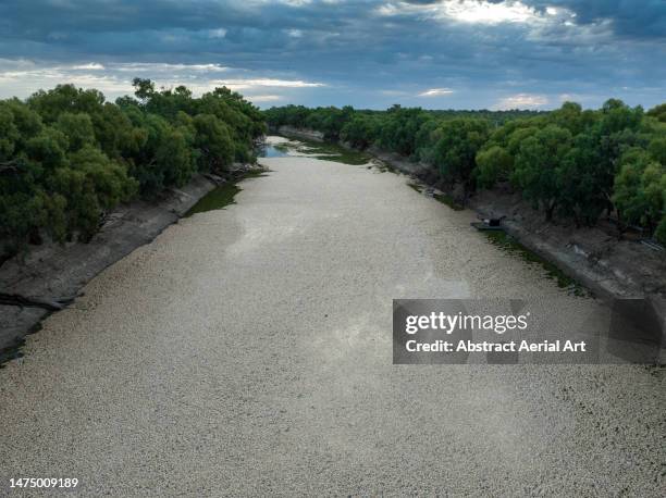 aerial image showing millions of dead fish floating on the darling-baaka river near the outback town of menindee, new south wales, australia - dead rotten stock pictures, royalty-free photos & images