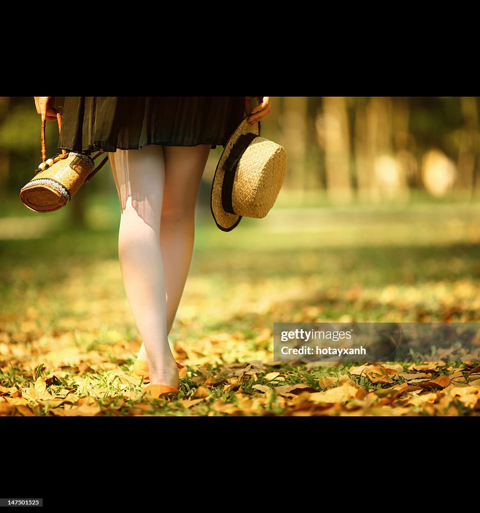 Walking on dry fallen leaves