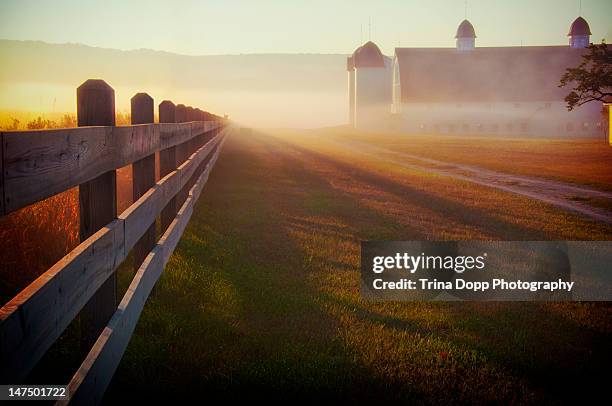 foggy morning farm fence at sunrise - midwest usa bildbanksfoton och bilder