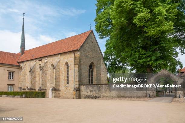 gothic monastery church of st. bernhard, gravenhorst monastery, former cistercian abbey, hoerstelo, tecklenburger land, north rhine-westphalia, germany - st bernhard stock pictures, royalty-free photos & images